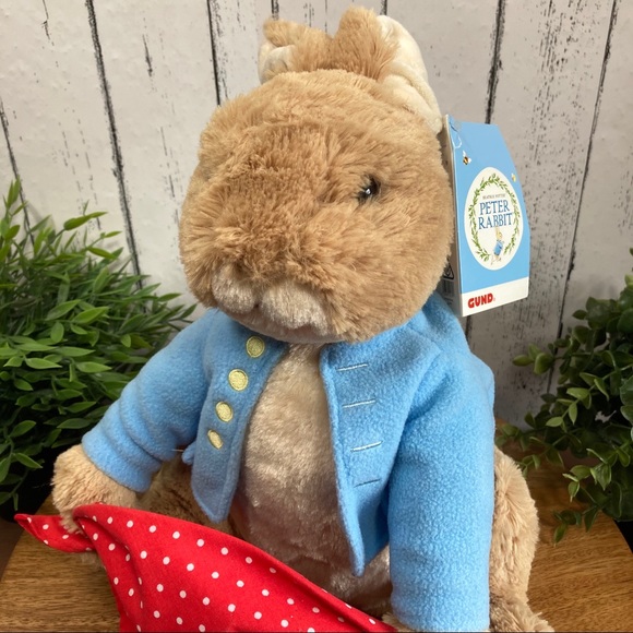 Gund | Toys | Gund Peter Rabbit Peekaboo Animated Plush Toy | Poshmark
